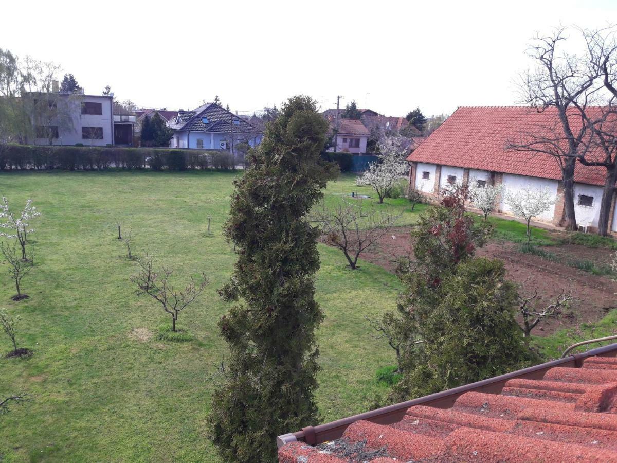 Villa Kysucka Senec Esterno foto